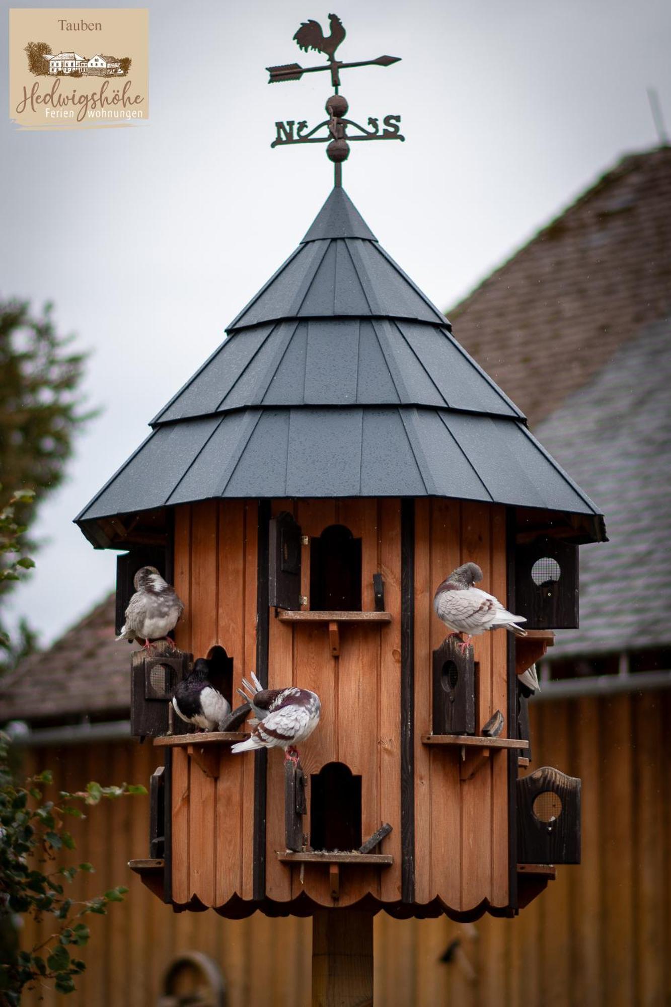 Urlaub Auf Dem Bauernhof Hedwigshoehe โฮห์นสไตน์ ภายนอก รูปภาพ